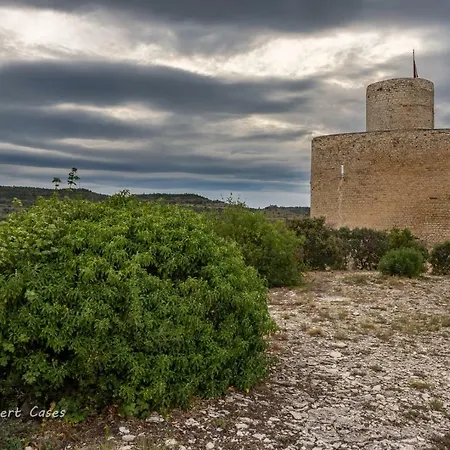 Lo Passeig Apartment Tremp